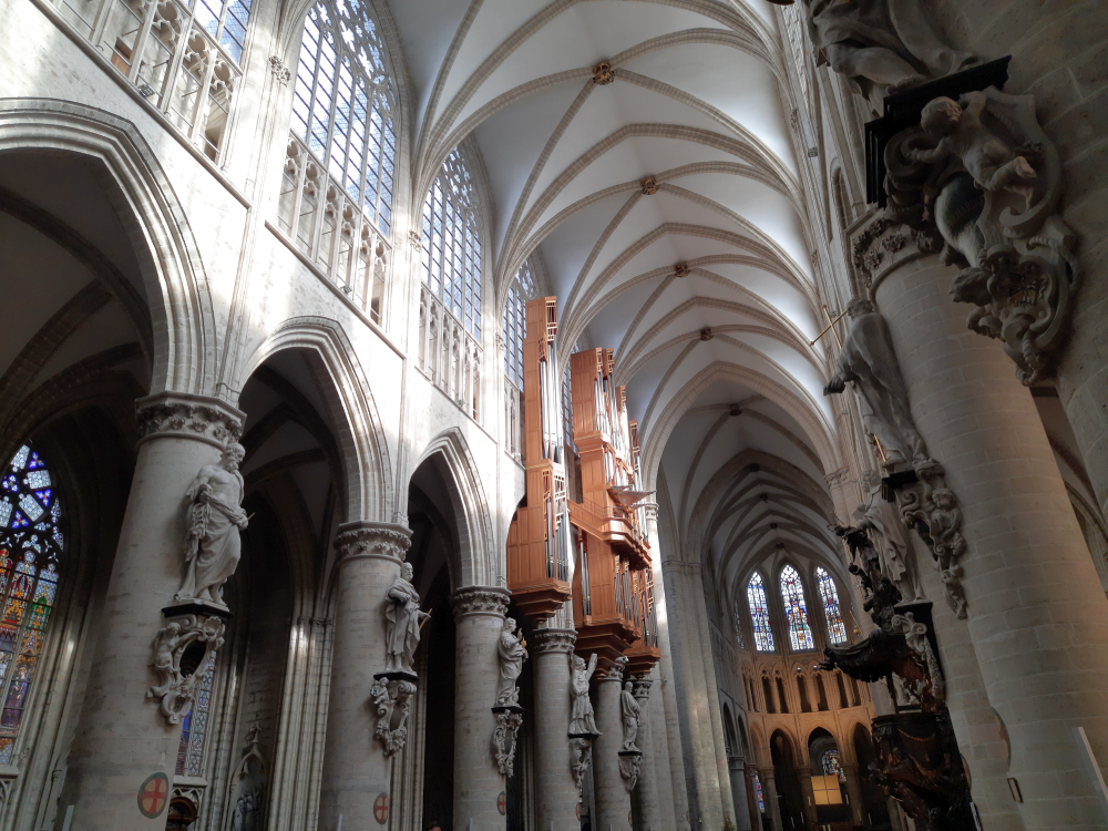 katedra świętego michała i guduli w Brukseli
